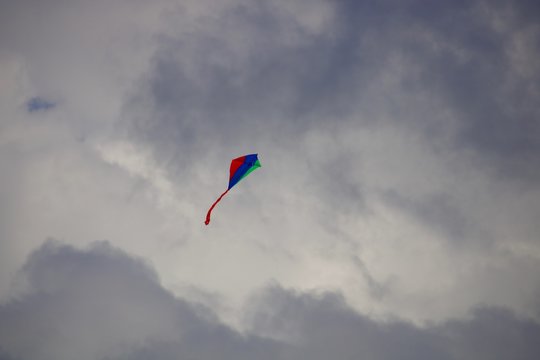 Papagaio colorido a voar no c&eacute;u