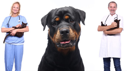 Vet holding a little puppy dog - isolated over a white background