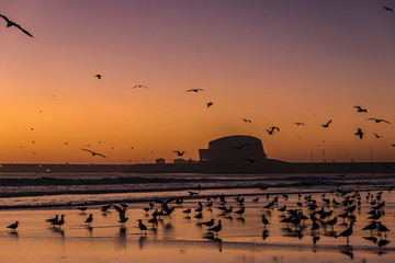 Sunset Matosinhos Beach  