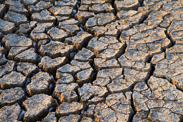 Climate warming dry chapped land
