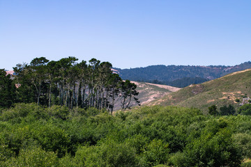 California Mountains, Beaches, and Landscapes