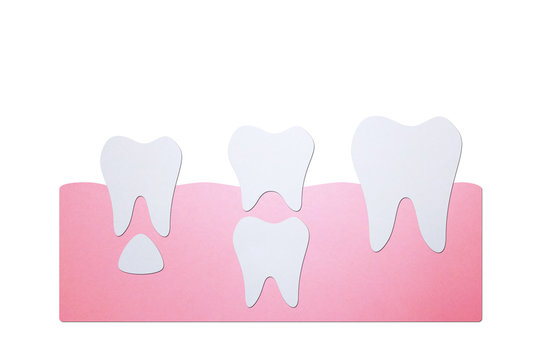 permanent tooth located below primary tooth - dental cartoon paper cut style