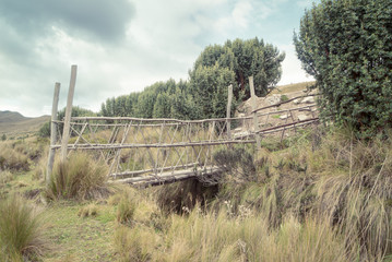 Fototapeta na wymiar A small short man handmade foot bridge made from sticks stretches over a small stream in a grassy field along a high altitude walking nature trail
