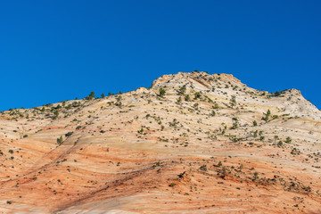 Zion National Park low angle landscape of orange and yellow stone hillside at Checkerboard Mesa