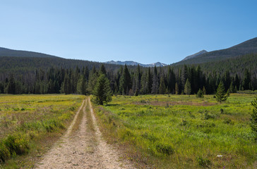 Fototapeta na wymiar Rocky Mountain National Park landscape of dirt road, meadow, forest and mountains