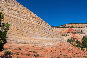 Zion National Park landscape of barren patterned stone mountain at Checkerboard Mesa in Utah