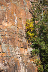 close up of detail in granite limestone rockface