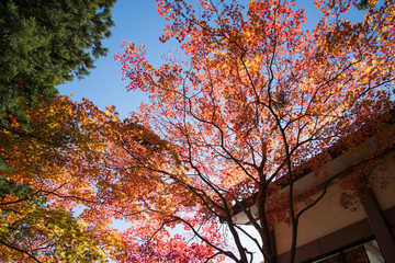 御岳山ケーブルカー
