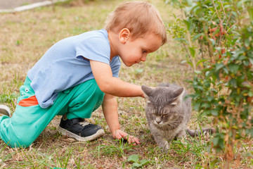 The child strokes of his favorite gray cat