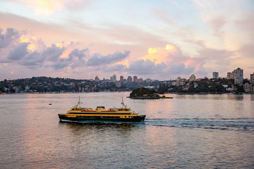 Naklejka premium シドニー