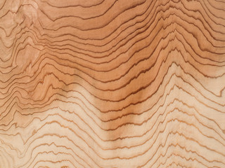 木目が美しい杉板