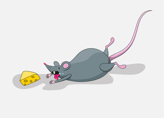 A rat catches a piece of cheese.