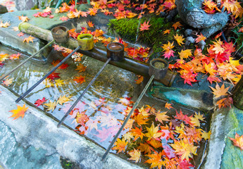 写真素材：紅葉、落ち葉、境宮神社、秋、もみじ、手水舎、境内