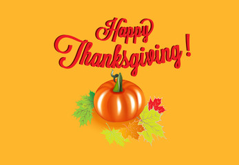 Happy Thanksgiving Pumpkin background vector card