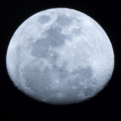 夜空の月