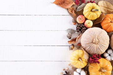 Top view of Autumn maple leaves with Pumpkin and red berries on white wooden background. Thanksgiving day concept.