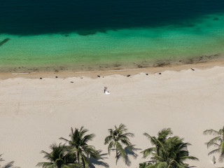 Fototapeta na wymiar Sea palm sand