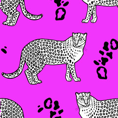 Seamless pattern of sketch style leopards. Vector illustration isolated on white background.