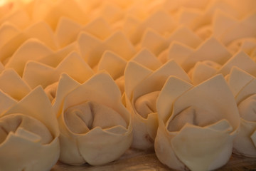 the raw chinese wotons in refrigerator