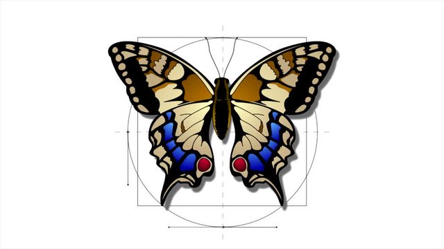 Butterfly Butterfly encased in geometric shapes. Looped animation in the style of vector graphics.