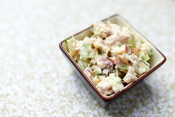 Salad dish with chicken apples nuts and cranberries in a small decorative side dish