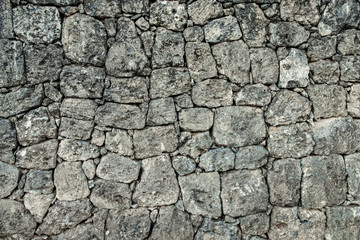 Gray stone texture wall, bricks, template, background with copy space, green ivy plant leaves,