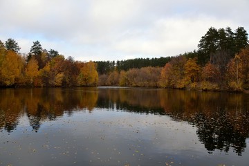 Fototapeta na wymiar Autumn forest on a cloudy day on the lake