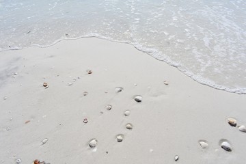 Background of sand, sea shells and water