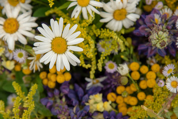 Fototapeta premium floral background.Focus on the daisies, the rest of the flowers are blurred.