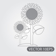 Sunflowers icon black and white outline drawing