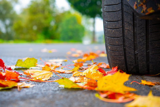 autumn leaves with car wheel