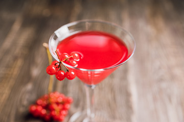 Viburnum martini cocktail with autumn setting on the rustic background. Selective focus. Shallow depth of field.