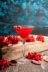 Viburnum martini cocktail with autumn setting on the rustic background. Selective focus. Shallow depth of field.