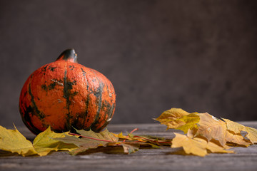 fall-still life with pumpkin and yellow maple leaves