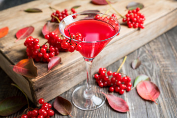 Viburnum martini cocktail with autumn setting on the rustic background. Selective focus. Shallow depth of field.