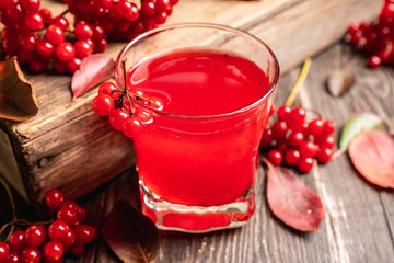 Gin based cocktail with viburnum liqueur and berries and autumn decorations on the rustic background. Selective focus. Shallow depth of field.