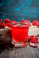 Gin based cocktail with viburnum liqueur and berries and autumn decorations on the rustic background. Selective focus. Shallow depth of field.