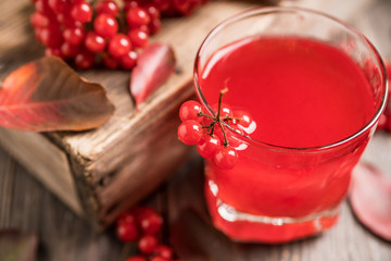 Gin based cocktail with viburnum liqueur and berries and autumn decorations on the rustic background. Selective focus. Shallow depth of field.