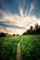 Sunset on hiking trail