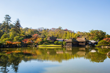 日本の秋 滋賀 彦根城玄宮園67 　Autumn in Japan, Shiga Prefecture,Hikone Castle...