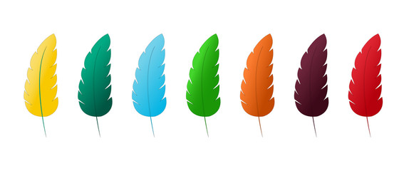 Fototapeta premium Leaf colorful isolated on background