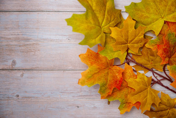 Obraz premium autumn leaves on the table
