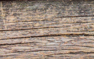 Fototapeta premium Wood texture. Wood table or walls. copy space, top view, flat lay, background with blank space for text