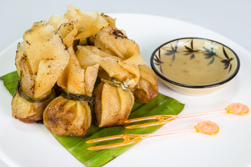 closeup fried wonton or Toong Tong