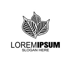 logo Three leaves line. Nature vector illustration isolated on white. Plant outline style design