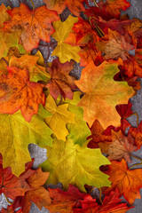 autumn leaves on the table