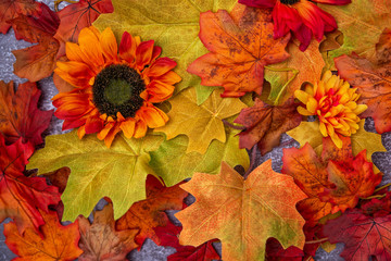 autumn leaves on the table