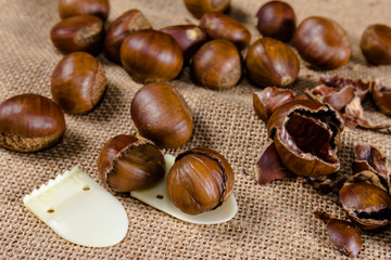 fresh chestnuts with sack bag background.