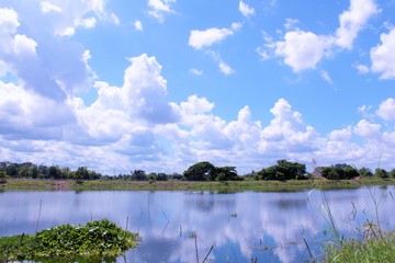 Plakat landscape with lake and clouds