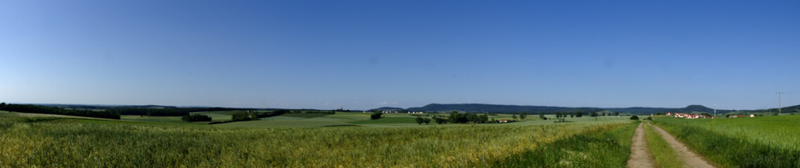 landscape with wheat field and blue sky